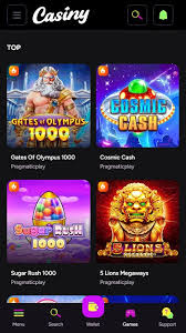Complete Guide to Casino Games Casiny Casino Review