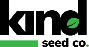 Exploring the World of Marijuana Seeds Idaho