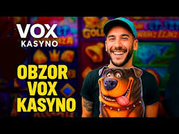 Recenzja i przewodnik — VOX Casino polska oferta, bonusy i opinie